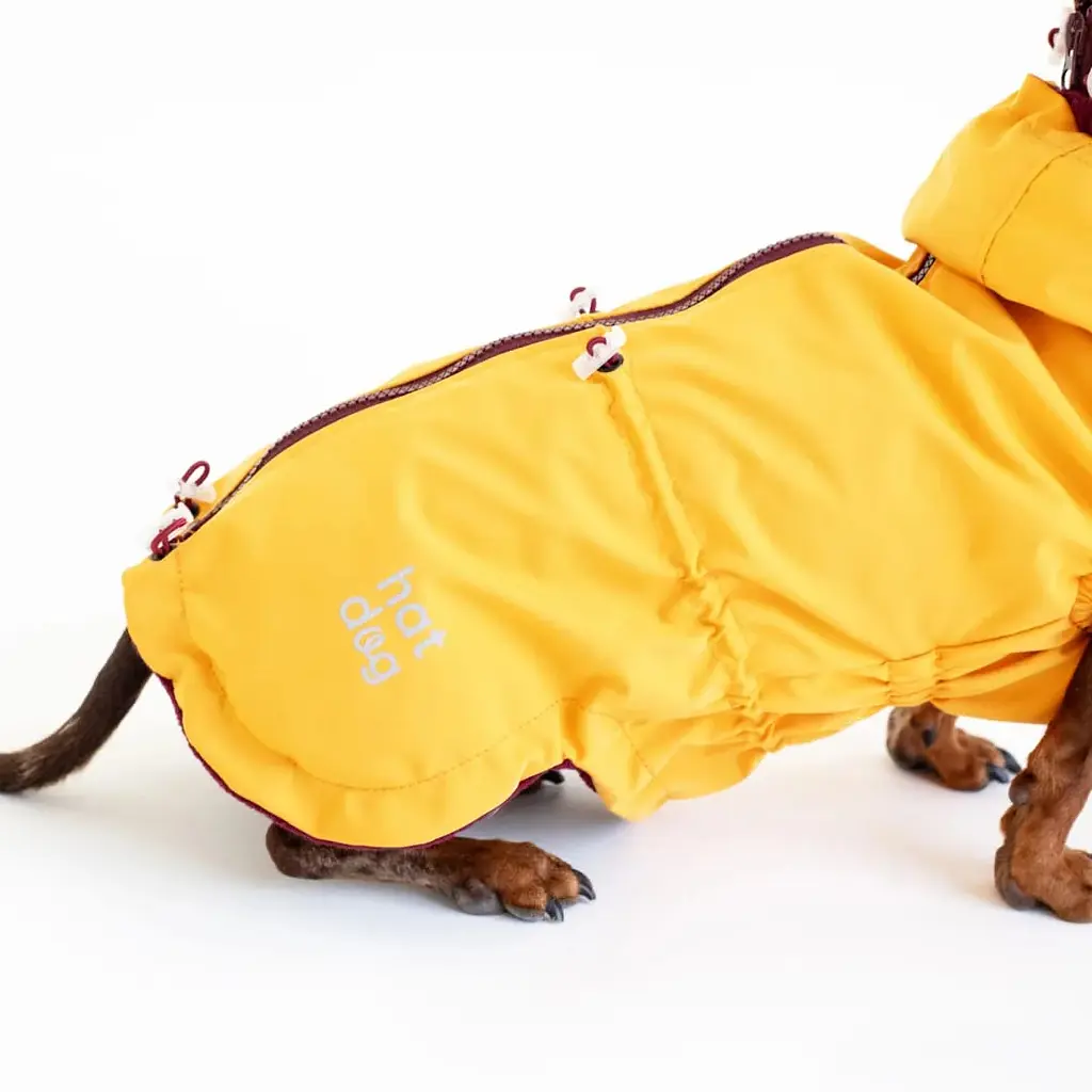 Вітровка для такс Hat-Dog куркума (M/Хлопчик) - фото 2