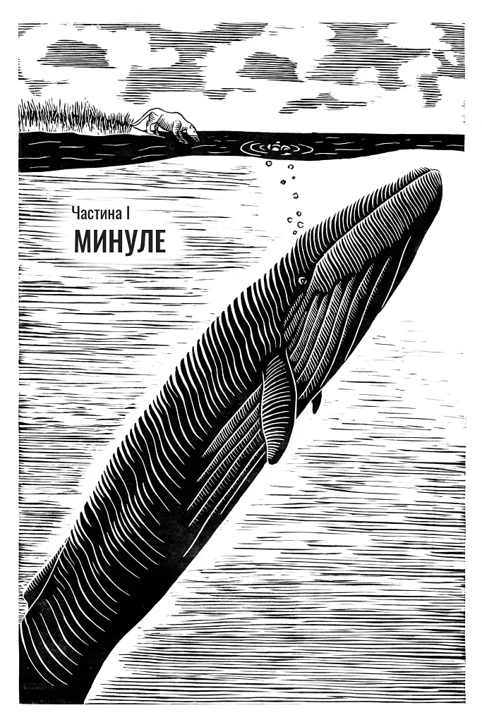 Підглядаючи за китами. Минуле, сьогодення та майбутнє найбільших у світі тварин - фото 3