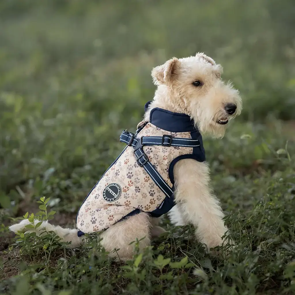 Зимова куртка для собак V.PET.B.R. Luxury Dog Jacket C519 Navy Blue - фото 3
