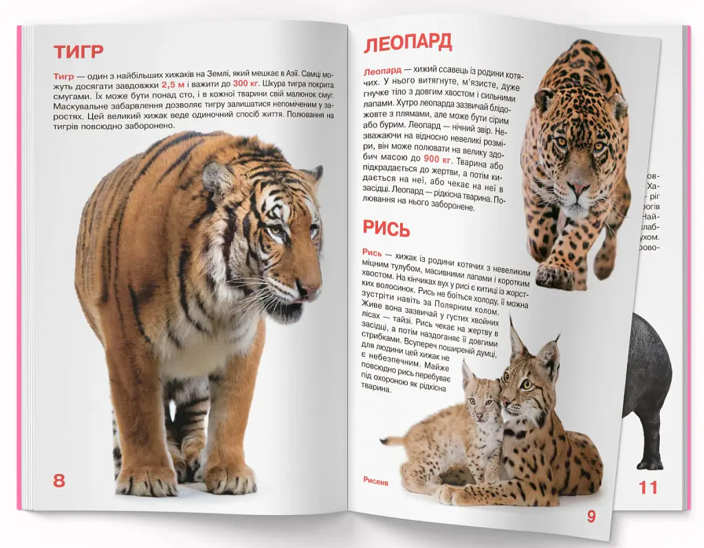 Велика книжка. Дикі тварини - фото 4