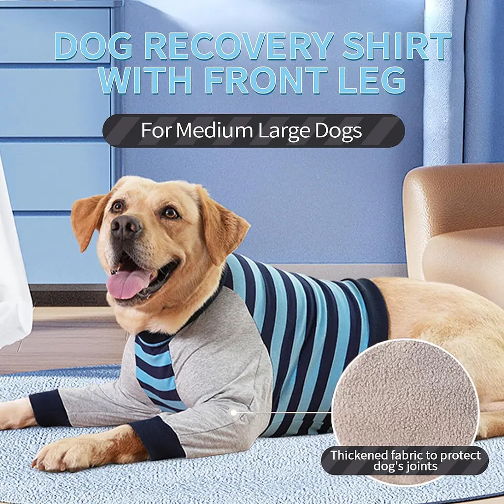 Костюм для відновлення собак Derby Stop Licking Dog Recovery Shirt, Blue, M - фото 3