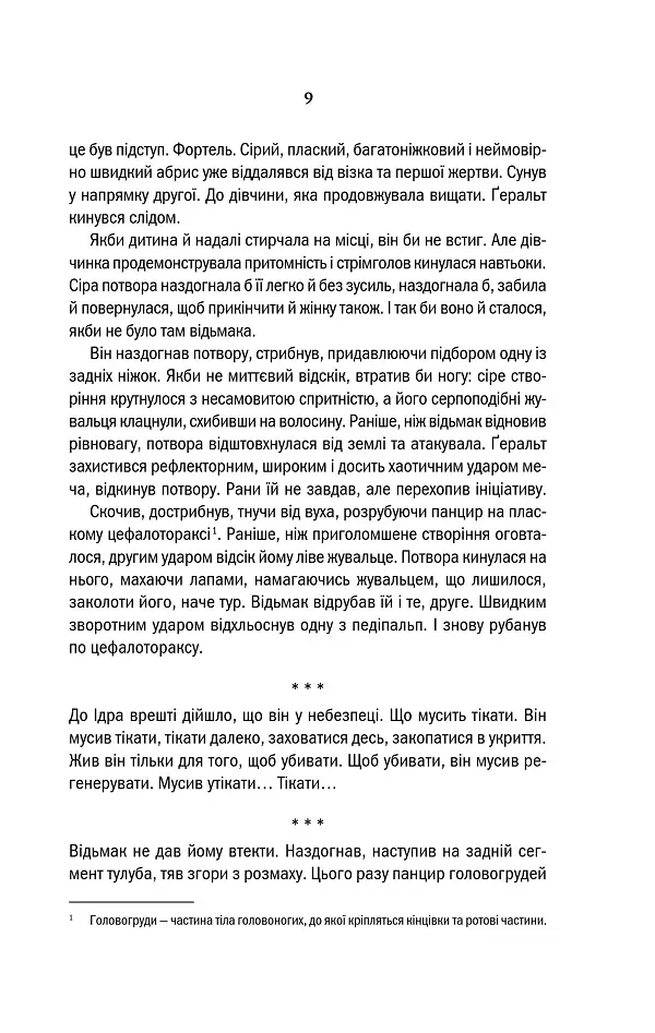Відьмак. Сезон гроз. Книга 8 - Анджей Сапковський - фото 7