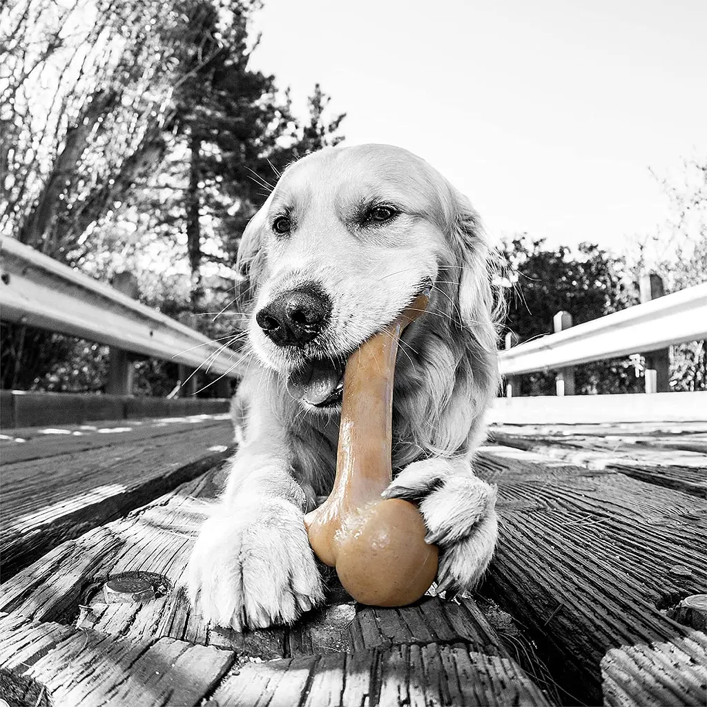 Жувальна кістка для собак Pet Qwerks Zombie BarkBone Natural Instincts Real Bacon с ароматом бекону - фото 4