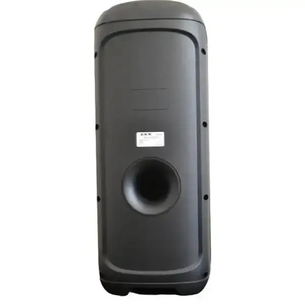 Портативная колонка ZPX ZXX-5505 с микрофоном Акустическая система 40Вт 6,5" RGB подсветка Черный - фото 3