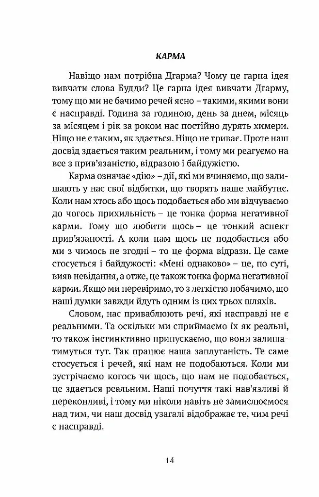 Смуток, любов, відкритість: буддійський шлях радості - Чок’ї Ньїма Рінпоче - фото 10