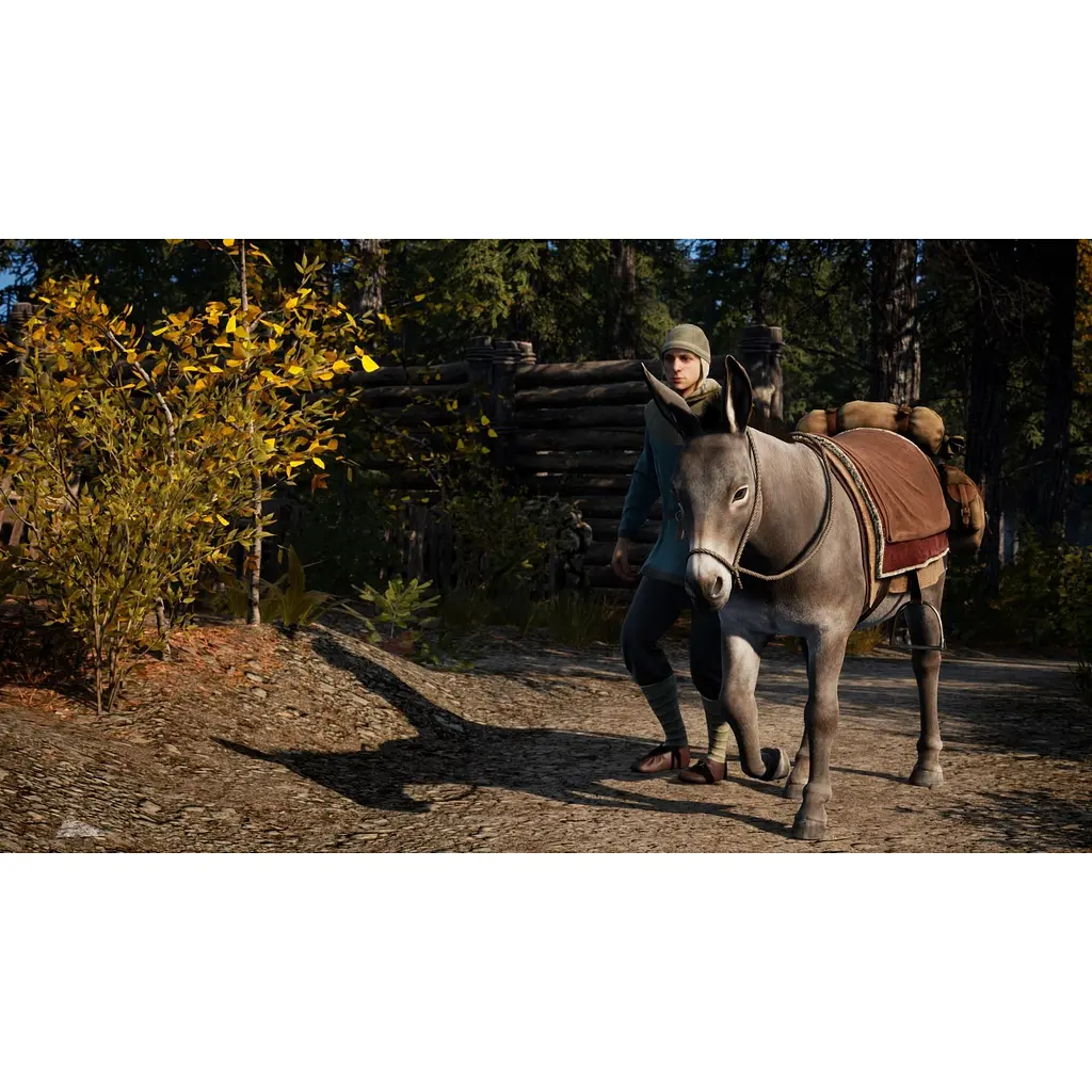 Ключ активації Microsoft Medieval Dynasty для Xbox One/Series - фото 9