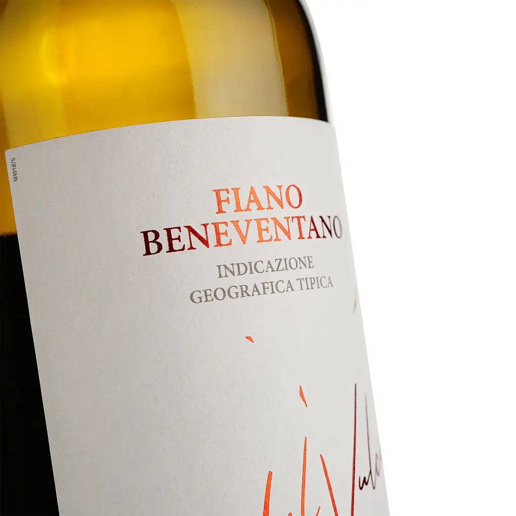 Вино Dal Vulcano Fiano Beneventano IGT, белое, сухое, 12,5%, 0,75 л - фото 3