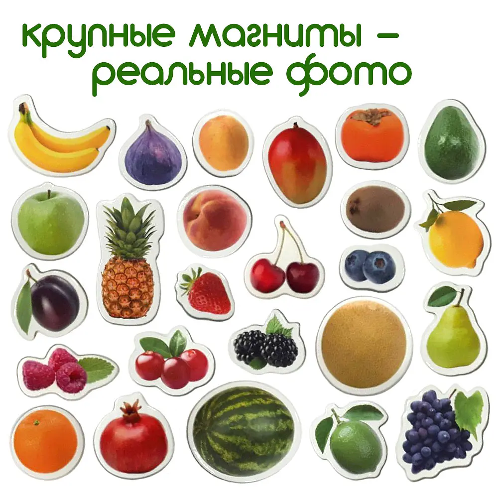 Магнітний набір Magdum Фрукти і ягоди (ML4031-11) - фото 2