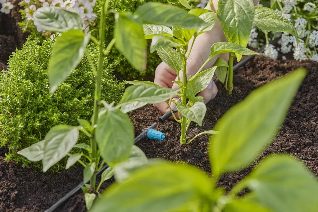 Крапельниця Gardena Micro-Drip-System внутрішня 0-15 л/год, 10 шт (13315-20) - фото 2