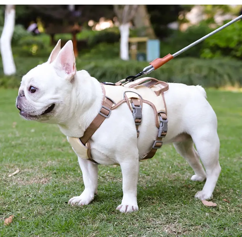 Шлея для собак Derby Pet harness FH107, M Бежевий - фото 2