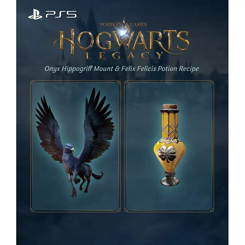 Игра Games Software Hogwarts Legacy Blu-ray диск PS5 - фото 3