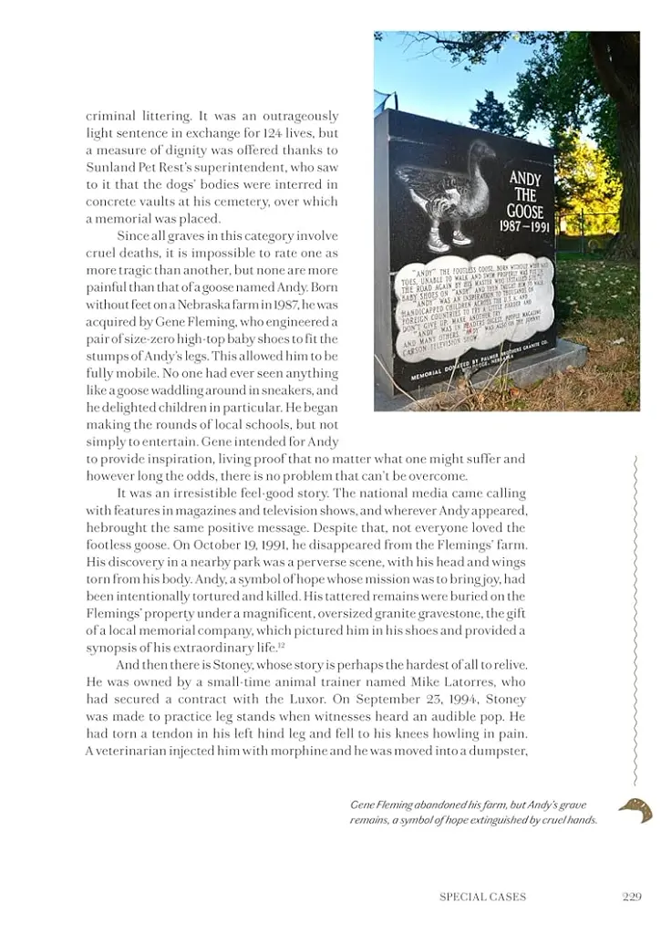 Faithful unto Death. Pet cemeteries, animal graves and eternal devotion - Пол Кудунаріс - фото 15