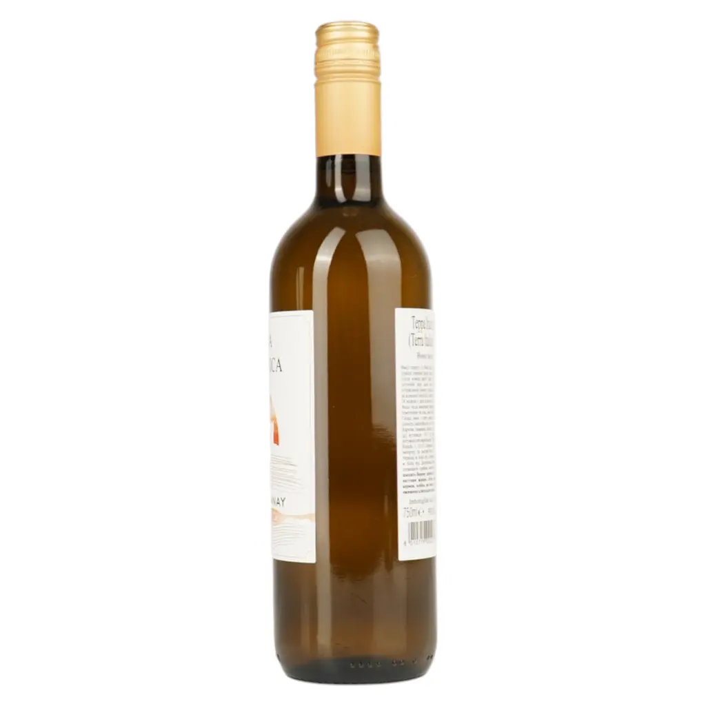 Вино Terra Italianica Chardonnay біле сухе 0.75 л - фото 3