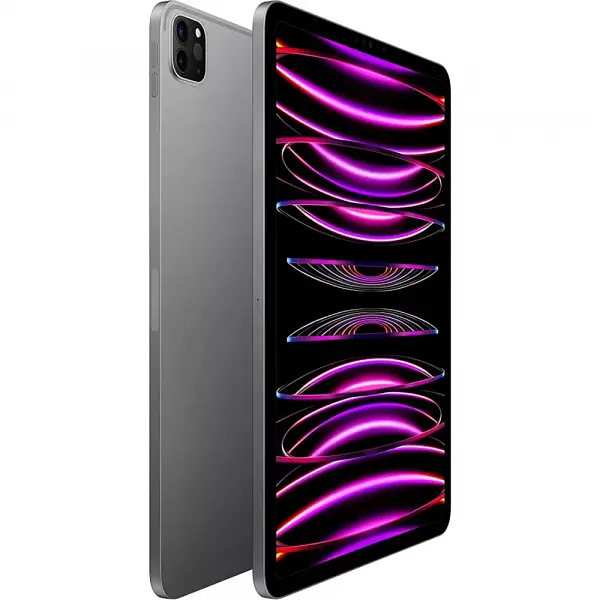 Apple iPad Pro 11 2022 Wi-Fi + Cellular 256GB Space Gray (MP573, MNYE3) - фото 2
