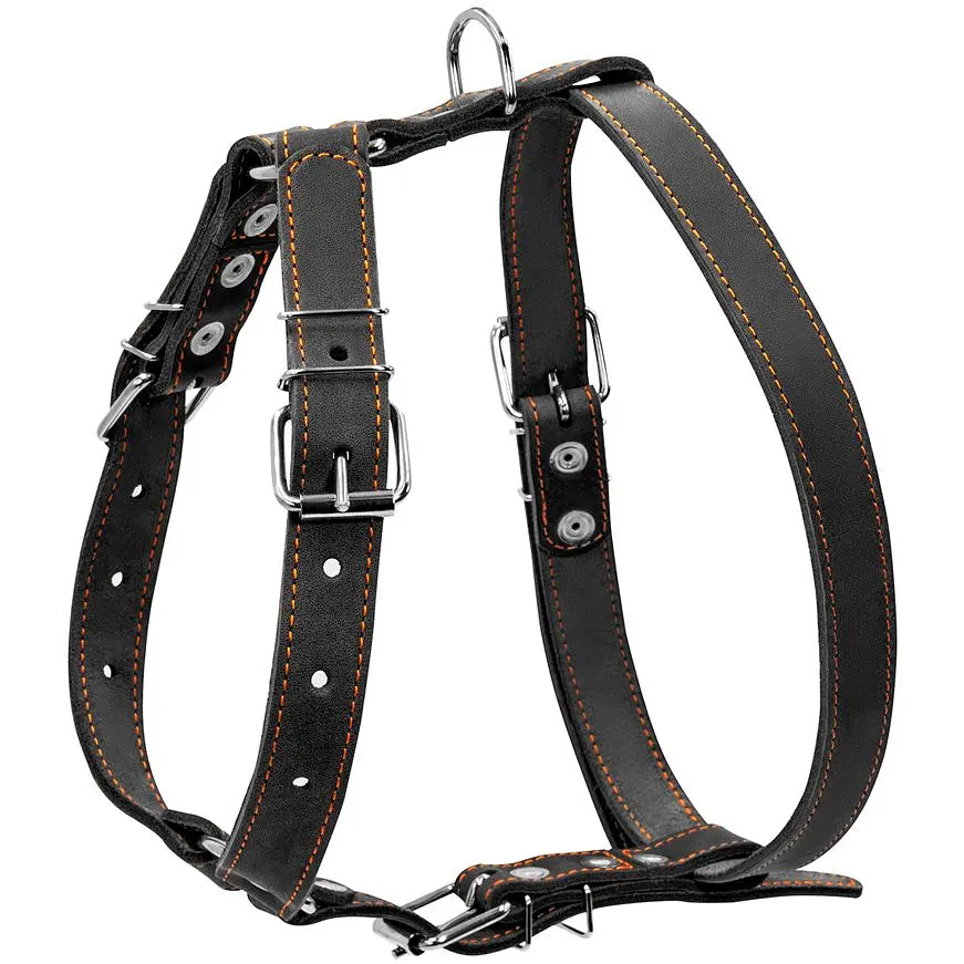 Шлея для собак Collar одинарная, кожа, 49-68х68-80х2,5 см,черный (6381) - фото 2
