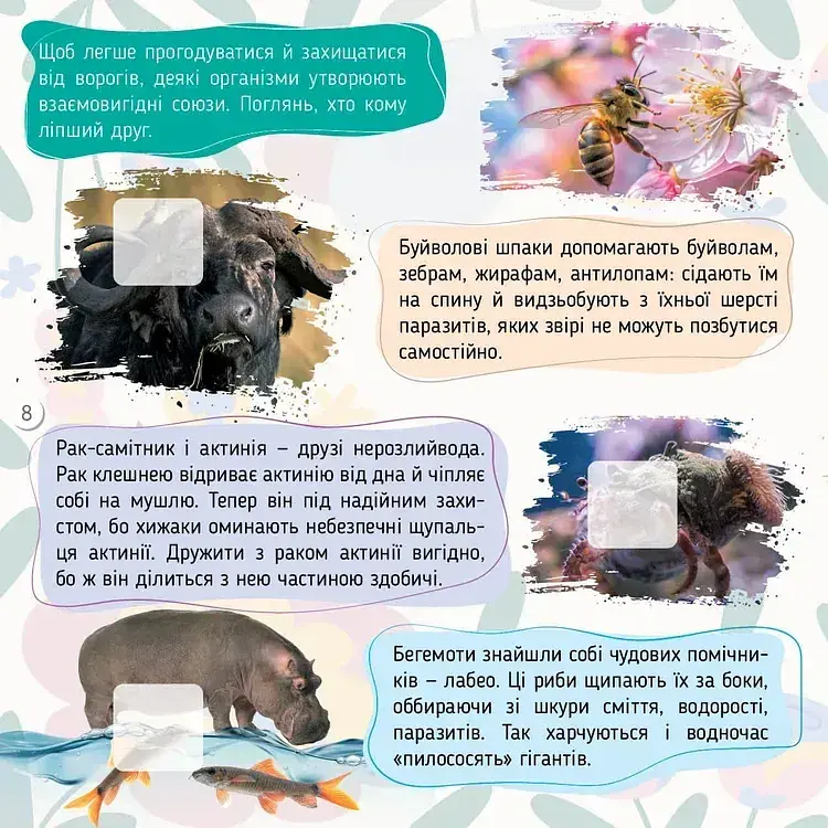 100 цікавинок. Комахи - Катерина Шаповалова - фото 4
