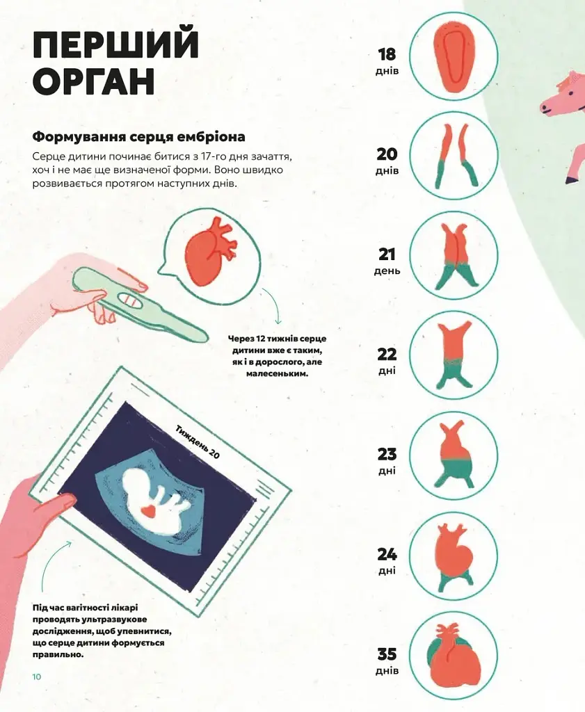 Серце. Історія, наука і багато любові - Ноемі Фабра - фото 4