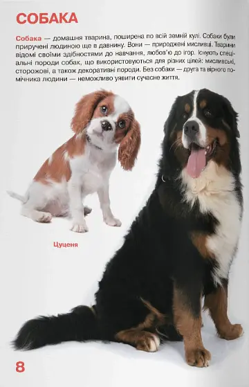 Велика книжка. Свійські тварини - - фото 4