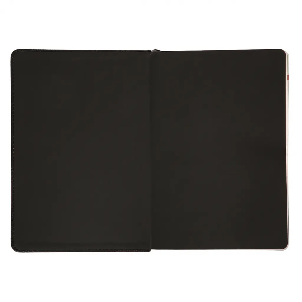 Дневник-деловая записная книжка А5 Leo Planner Nero 2026 твердый черный 368 страниц (252687) - фото 5