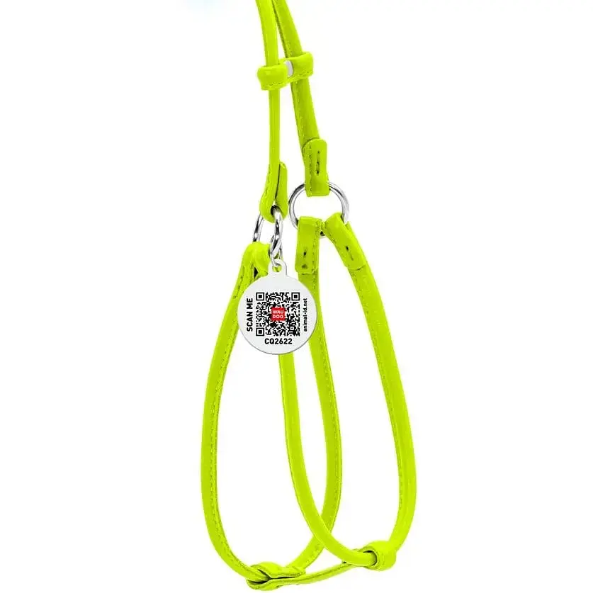 Шлея з повідцем для собак Waudog Glamour, шкіряна, кругла, з QR паспортом, 42-60х46-64х0,6/105 см, салатовий (34025) - фото 2