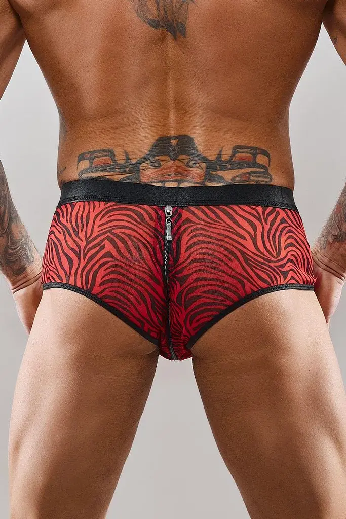 Шорти на блискавці Regnes Fetish Planet L (чорний з червоним) - фото 4