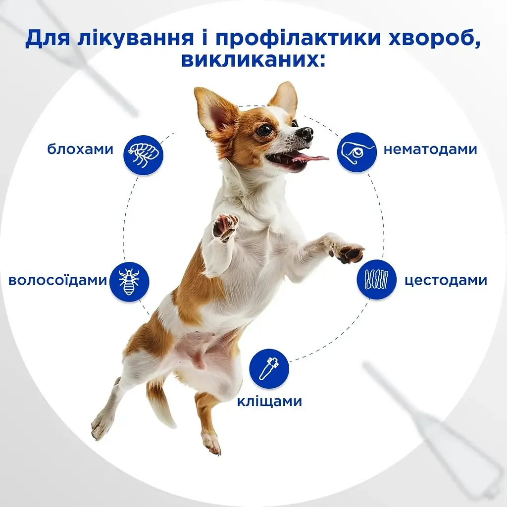 Краплі протипаразитні Modes Selavet для собак від 2.6 до 5.0 кг 0.5 мл - фото 3