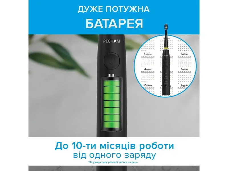 Електрична зубна щітка Pecham Black Travel PC-085 (4822201550025) - фото 4