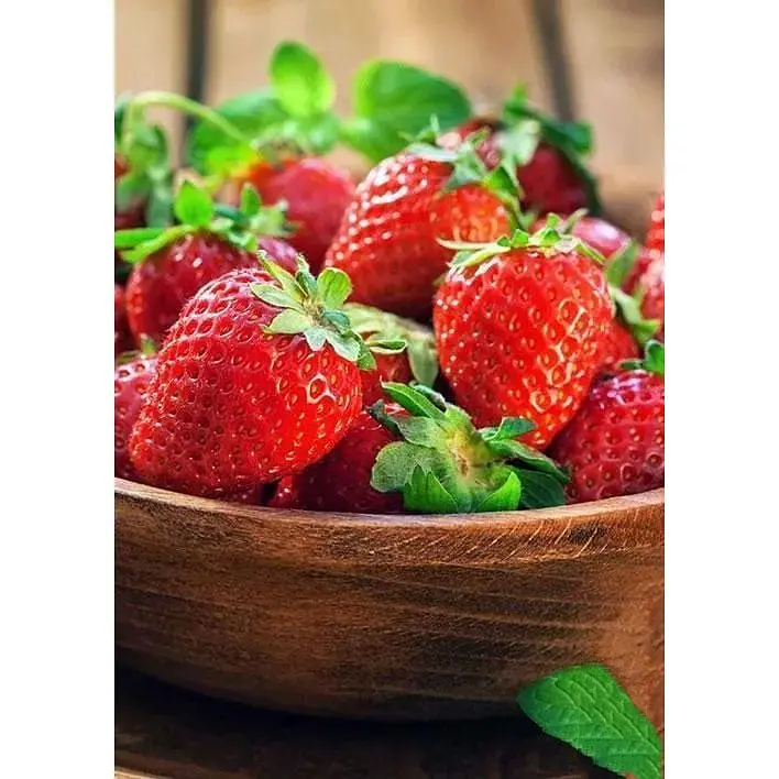 Саджанець Agro-Market Полуниця яскраво-червона Солодка шоколадка (Sweet chocolate) 5 шт (американська селекція, преміальний ремонтантний сорт) (44699) - фото 3