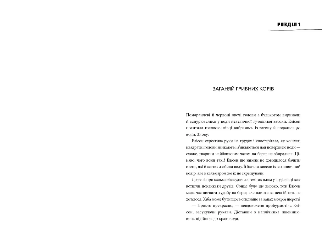 MINECRAFT. Втрачені щоденники - Мер Лафферті - фото 5