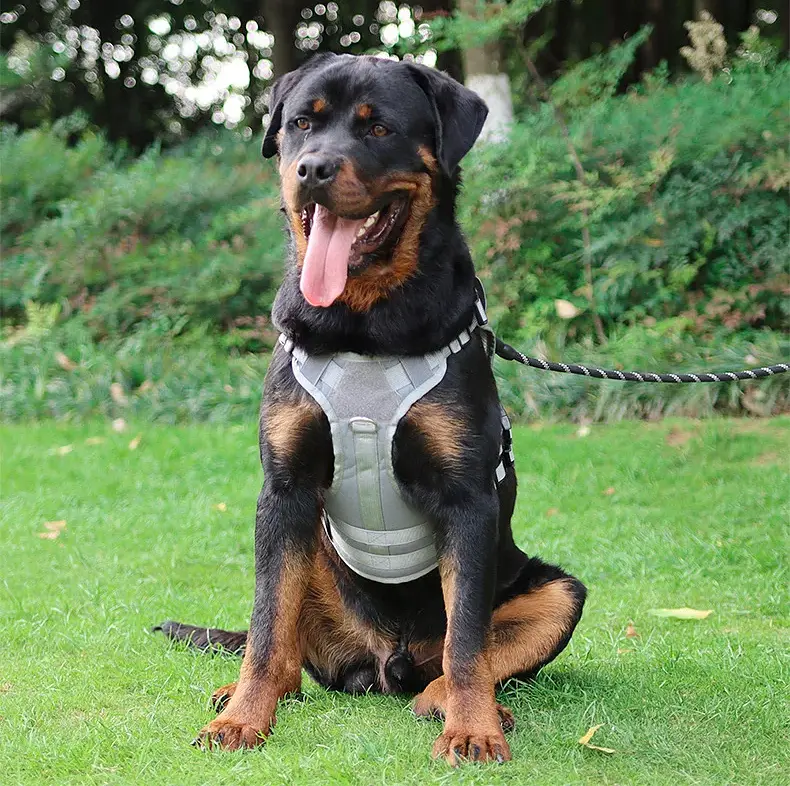 Шлейка для собак Vest, тактичний жилет з ручкою і системою MOLLE, регульований, Сірий М - фото 6