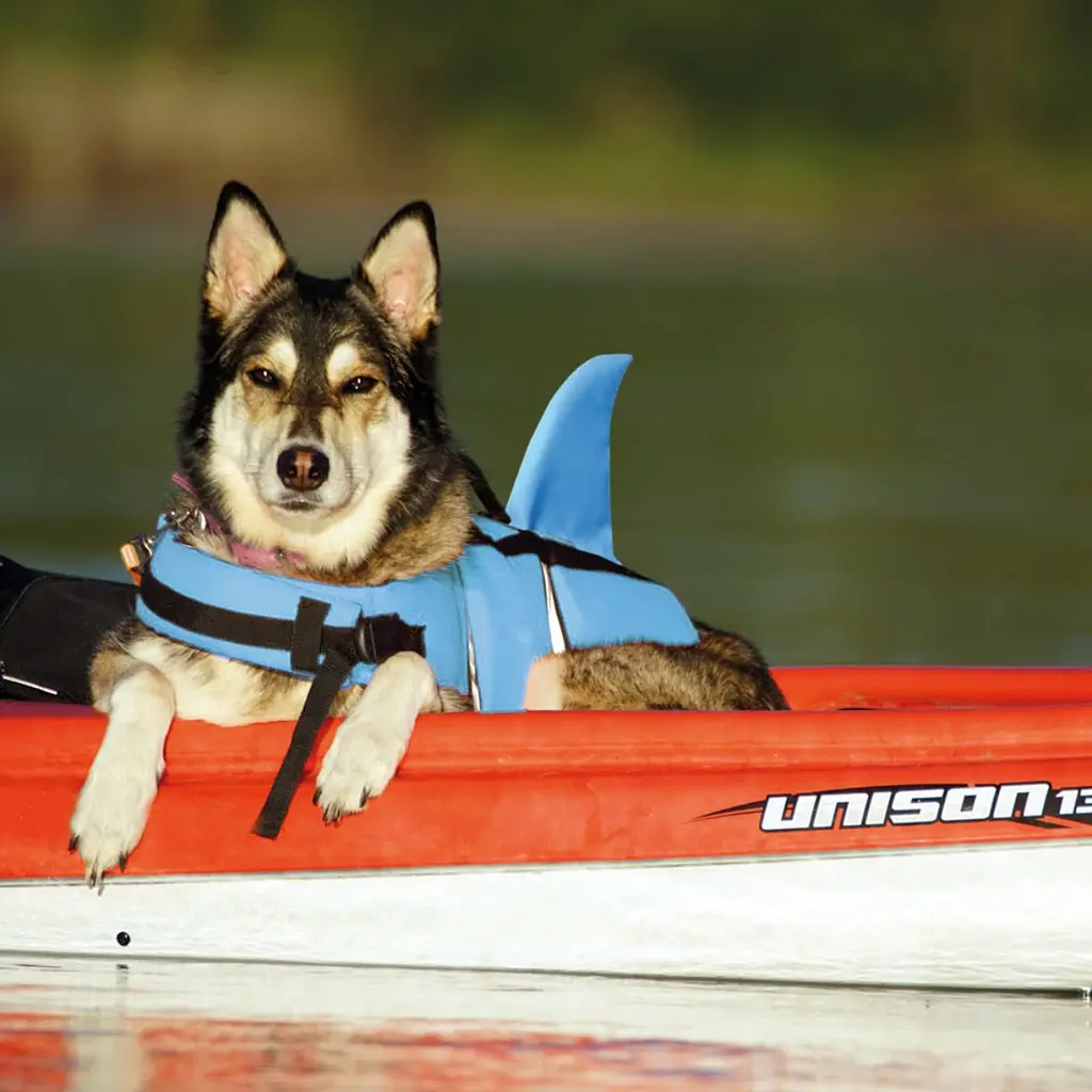 Рятувальний жилет для собак Nobby Sharki Swimming XL блакитний 45 см 61034 - фото 2