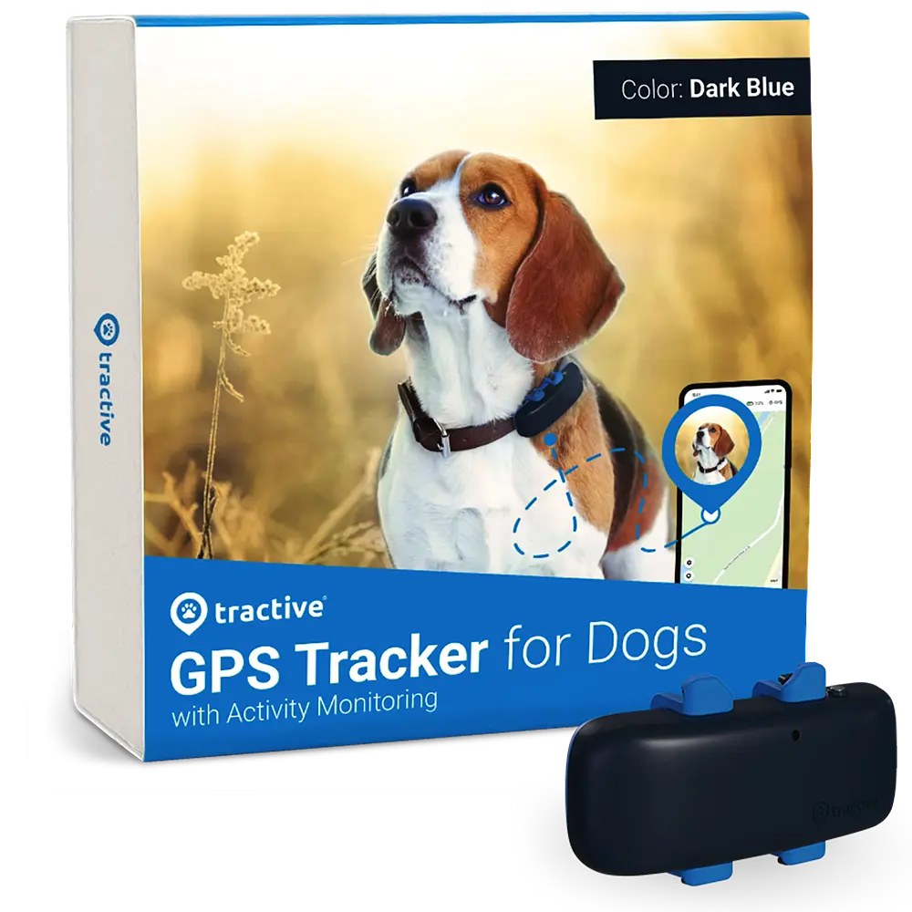 GPS-трекер для собак Tractive водонепроникний з інтелектуальним відстеженням активності.
