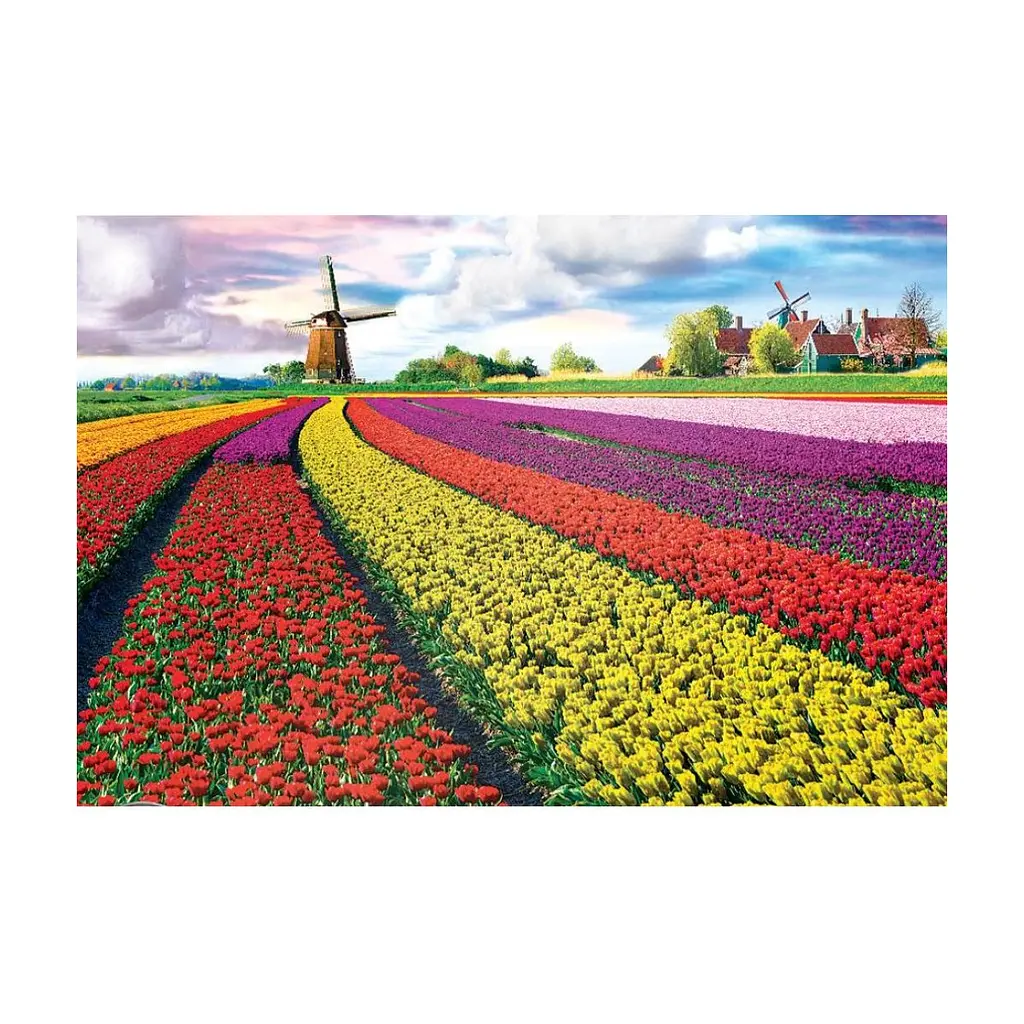 Пазл Eurographics Поле тюльпанів у Нідерландах 1000 елемен (6000-5326) - фото 2
