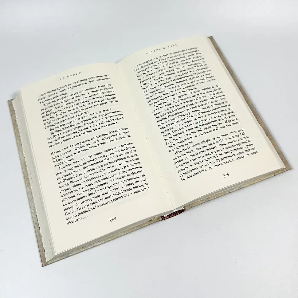 Вогонь доккебі - Лі Йондо | BookChef, книга українською, нова, тверда - фото 3
