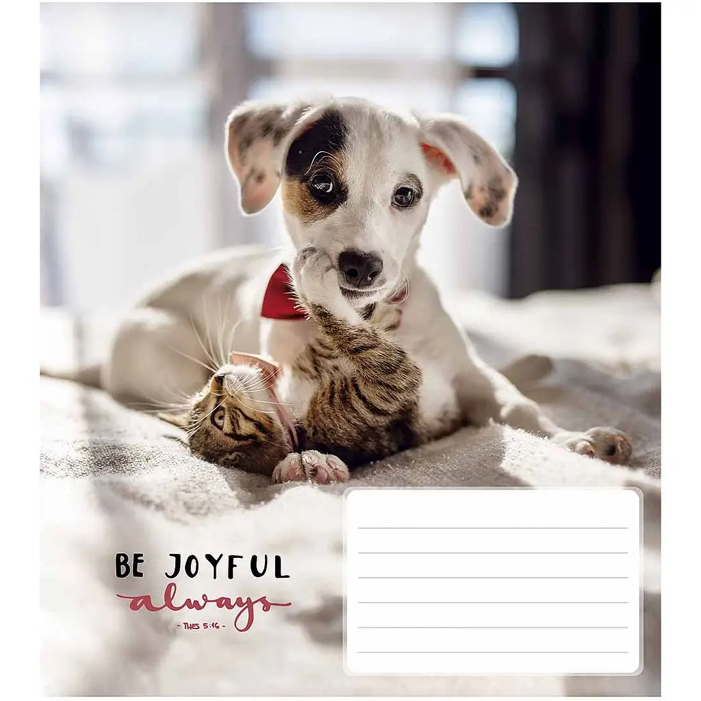 Зошит учнівський Школярик Be joyful always в лінію 18 аркушів 25 шт. (018-3263L) - фото 5
