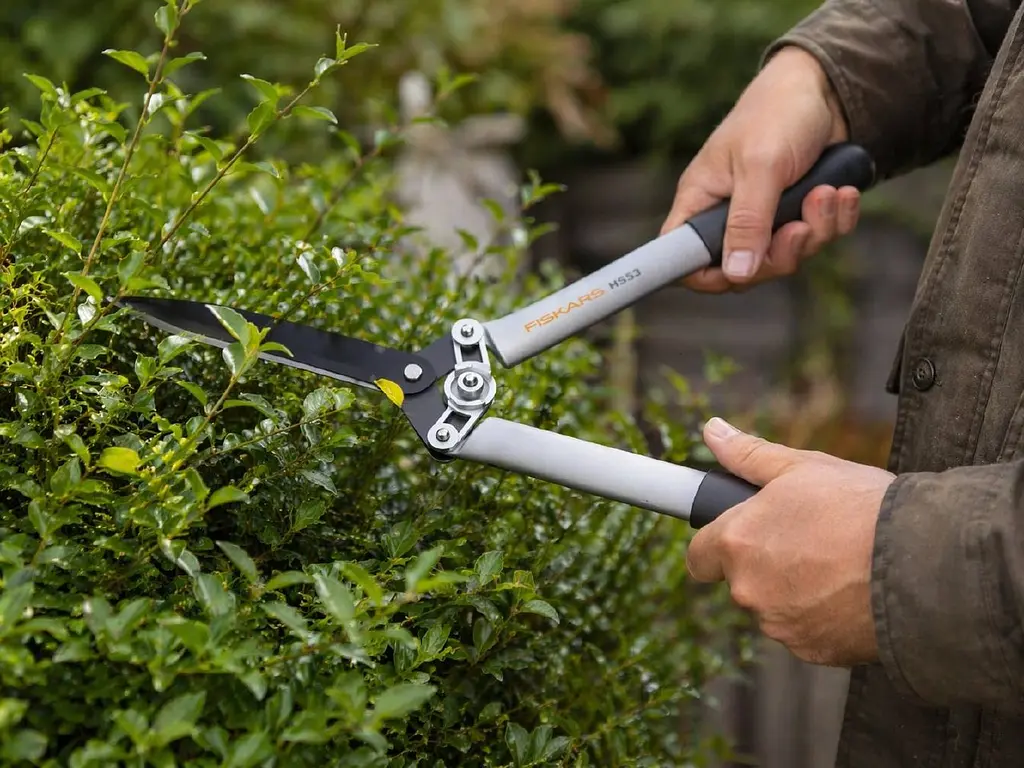 Набір Fiskars: Ножиці для кущів Fiskars White HS53 + Гілкоріз білий White L32 - фото 3