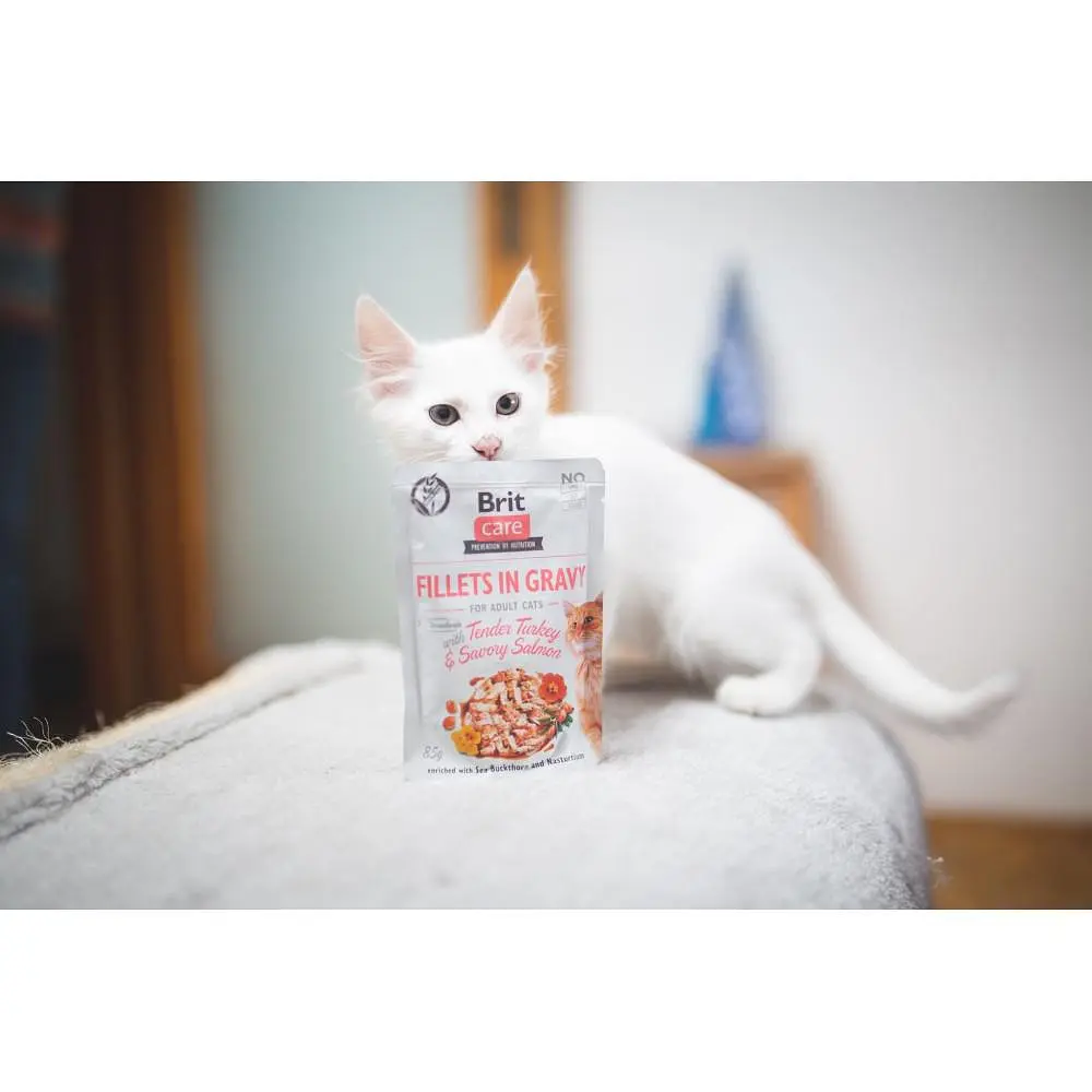 Влажный корм для кошек Brit Care Cat pouch 85g (филе индейки и лосося в соусе) - фото 5
