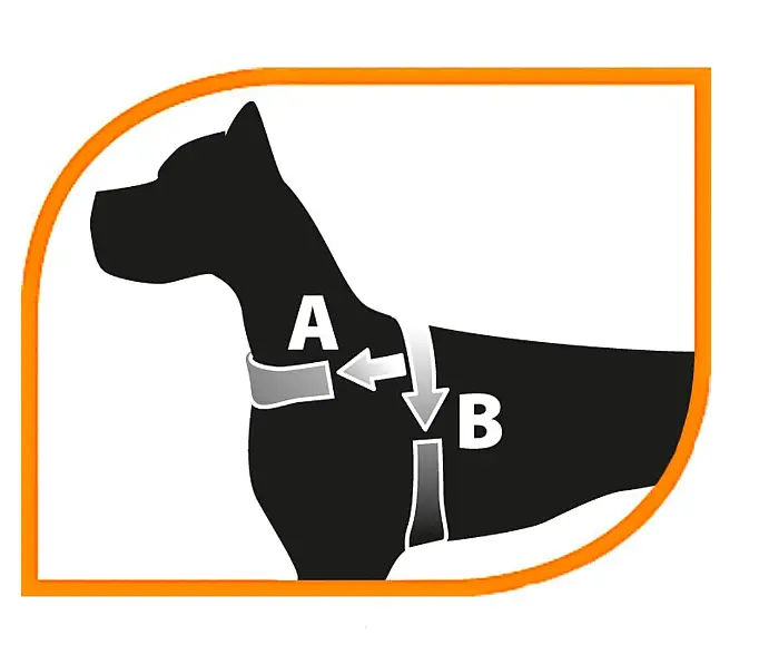 Шлея для собак Ferplast Sport Dog P XS нейлонова блакитна A: 39 см B: 48-58 см 78004525 - фото 2