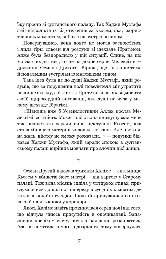 Палацові інтриги. Мелексіма - український янгол Османа Другого. Книга 2 - Олександра Шутко - фото 7