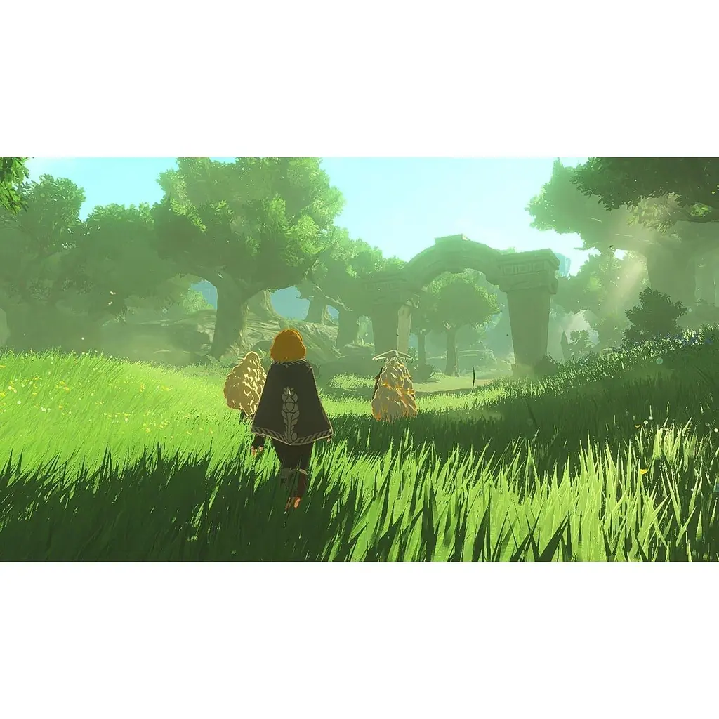 Игра Switch 2 Hyrule Warriors Age of Imprisonment (0045496313500) - фото 2