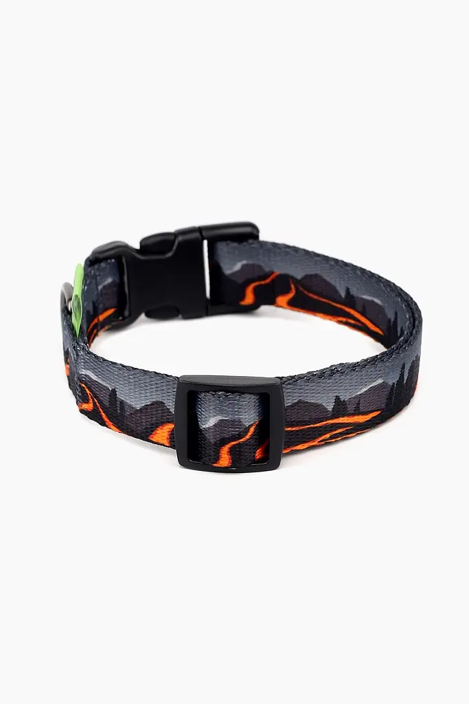 Нашийник ТМ HIDOG Hawaii, розмір XL (ширина 25мм (43-66см)) (2100102259011A)(SN) shop (2100102259011) - фото 2