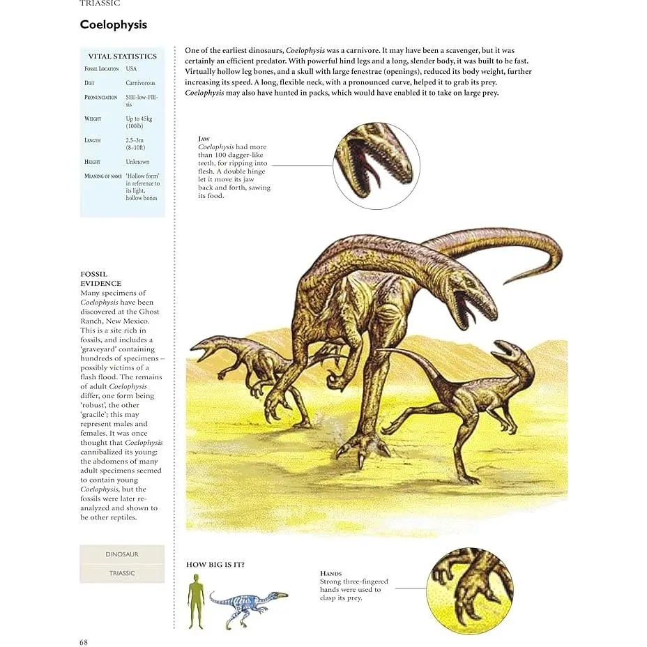 Encyclopedia of Dinosaurs - Мелінг Карл - фото 3