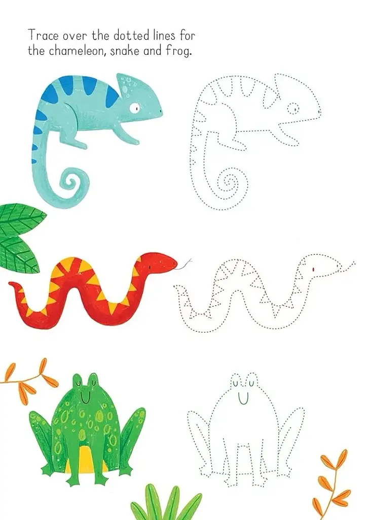Animals to Copy and Trace. Little Wipe-Clean - фото 3