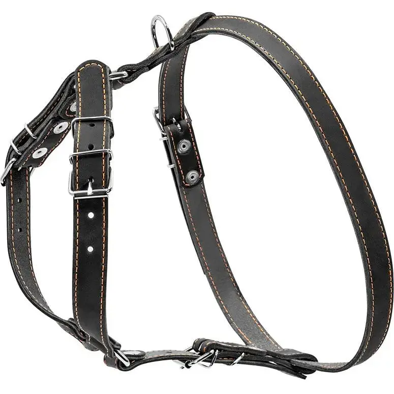 Шлея для собак Collar одинарна, шкіра, для міні на середніх порід, 40-56х57-65х2 см, чорний (6361) - фото 2