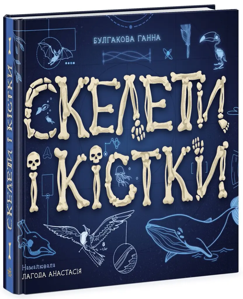Скелети і кістки. Енциклопедія з віконцями - Ганна Булгакова - фото 2
