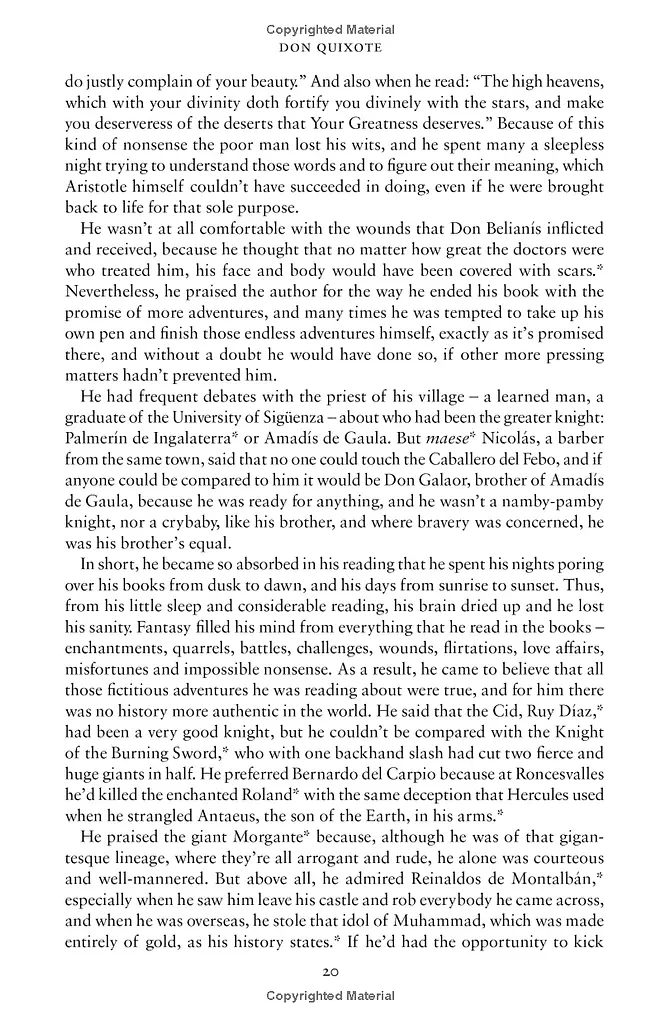 Don Quixote - фото 4