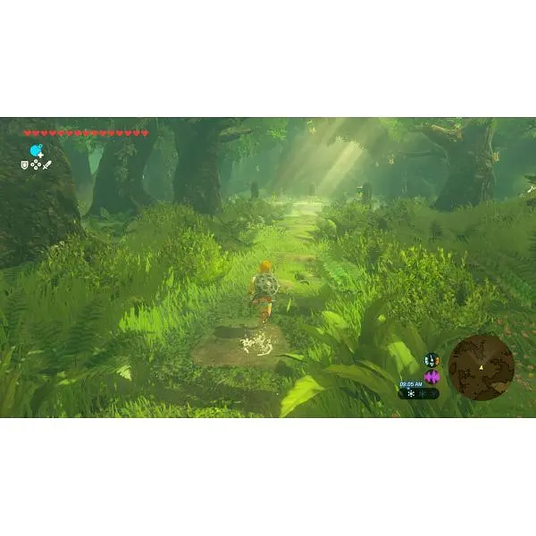 Гра The Legend of Zelda Breath of the Wild + The Legend of Zelda Tears of the Kingdom (російські версії) (Nintendo Switch 2) - фото 4