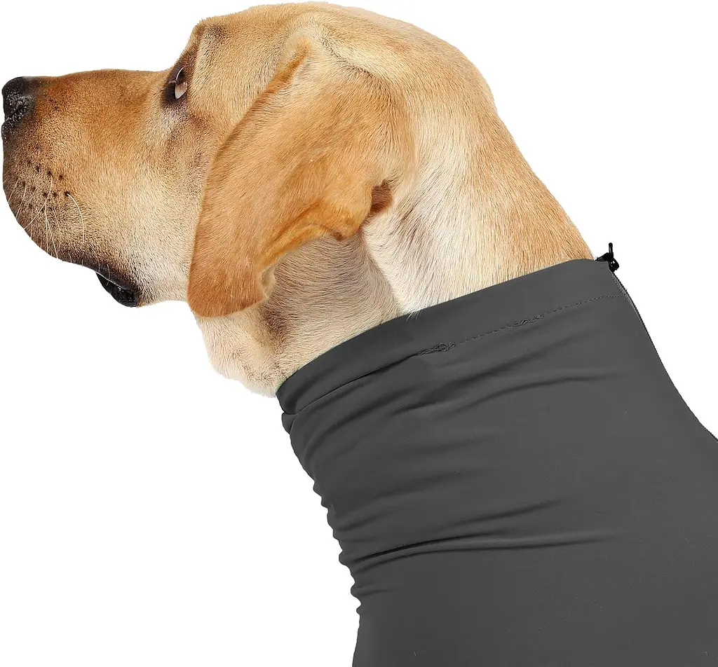Комбінезон для відновлення собак Derby Pet Recovery Suit, Black, 2XL - фото 4