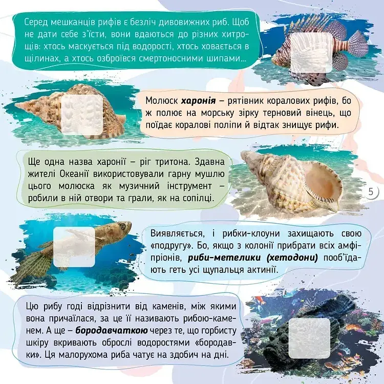 100 цікавинок. Моря, океани та їхні мешканці - Катерина Шаповалова - фото 3