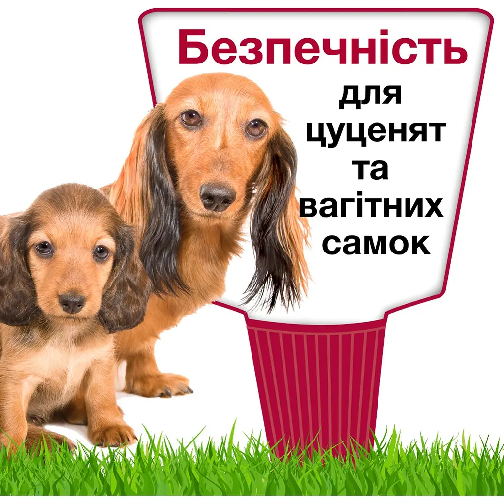Краплі Elanco (Bayer) Advantix від бліх і кліщів для собак від 40 до 60 кг 24 мл  (6 мл x 4 піпетка) - фото 11
